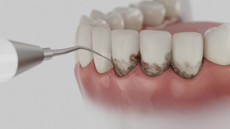 Reliable Dental contractor in Brownstown, PA by Dentist Open Now